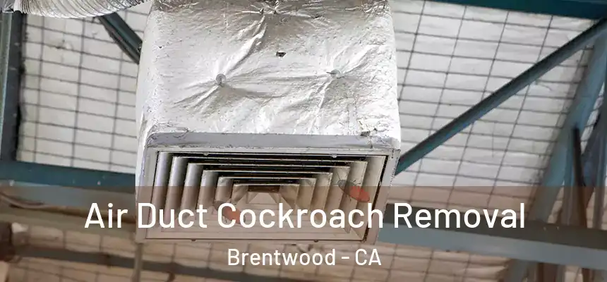  Air Duct Cockroach Removal Brentwood - CA