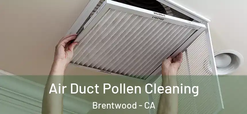  Air Duct Pollen Cleaning Brentwood - CA