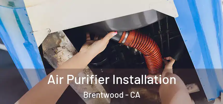  Air Purifier Installation Brentwood - CA