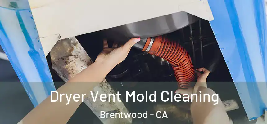  Dryer Vent Mold Cleaning Brentwood - CA