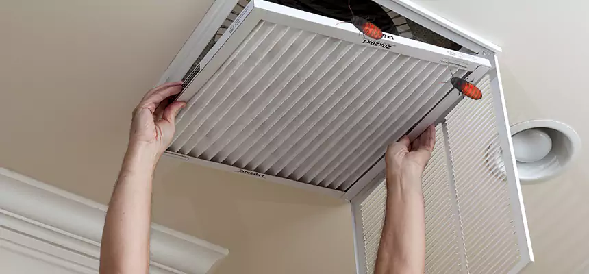 Preventive Cockroach-Proofing for Ducts in Brentwood
