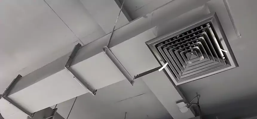 Our Pest Removal From Ducts Services in Brentwood, CA