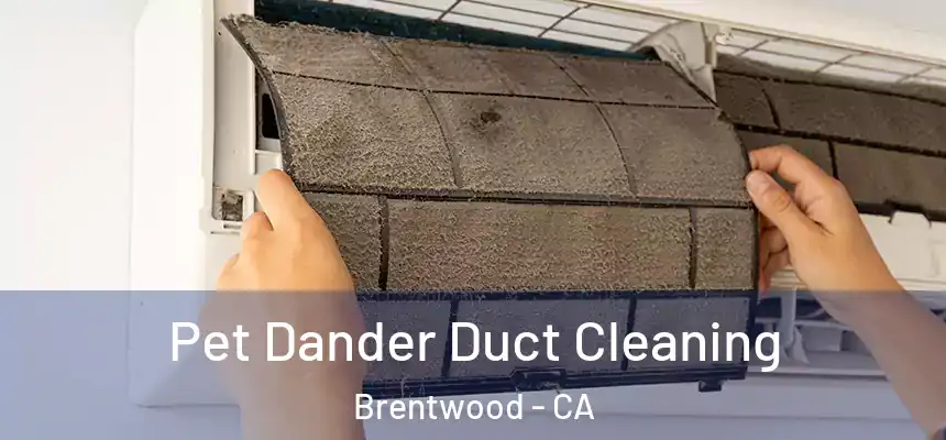  Pet Dander Duct Cleaning Brentwood - CA