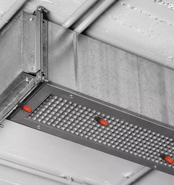 Affordable Insect Removal from Air Ducts in Brentwood, CA