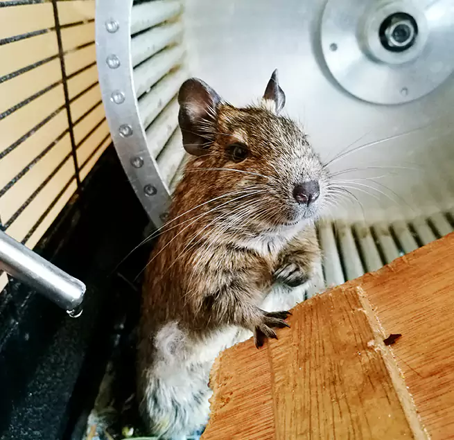 Why Homeowners & Businesses Trust Us Brentwood, CA?