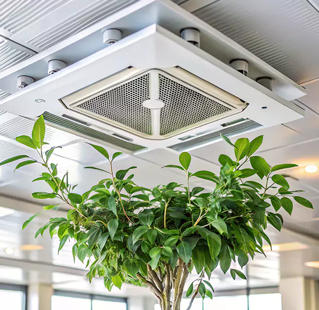 Why Homeowners & Businesses Trust Us in Brentwood, CA?